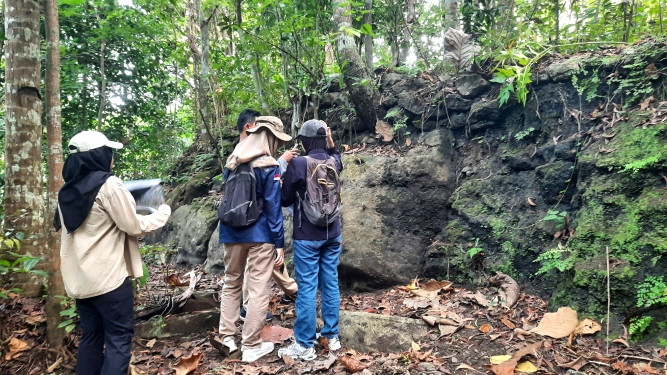 Survey Geosite